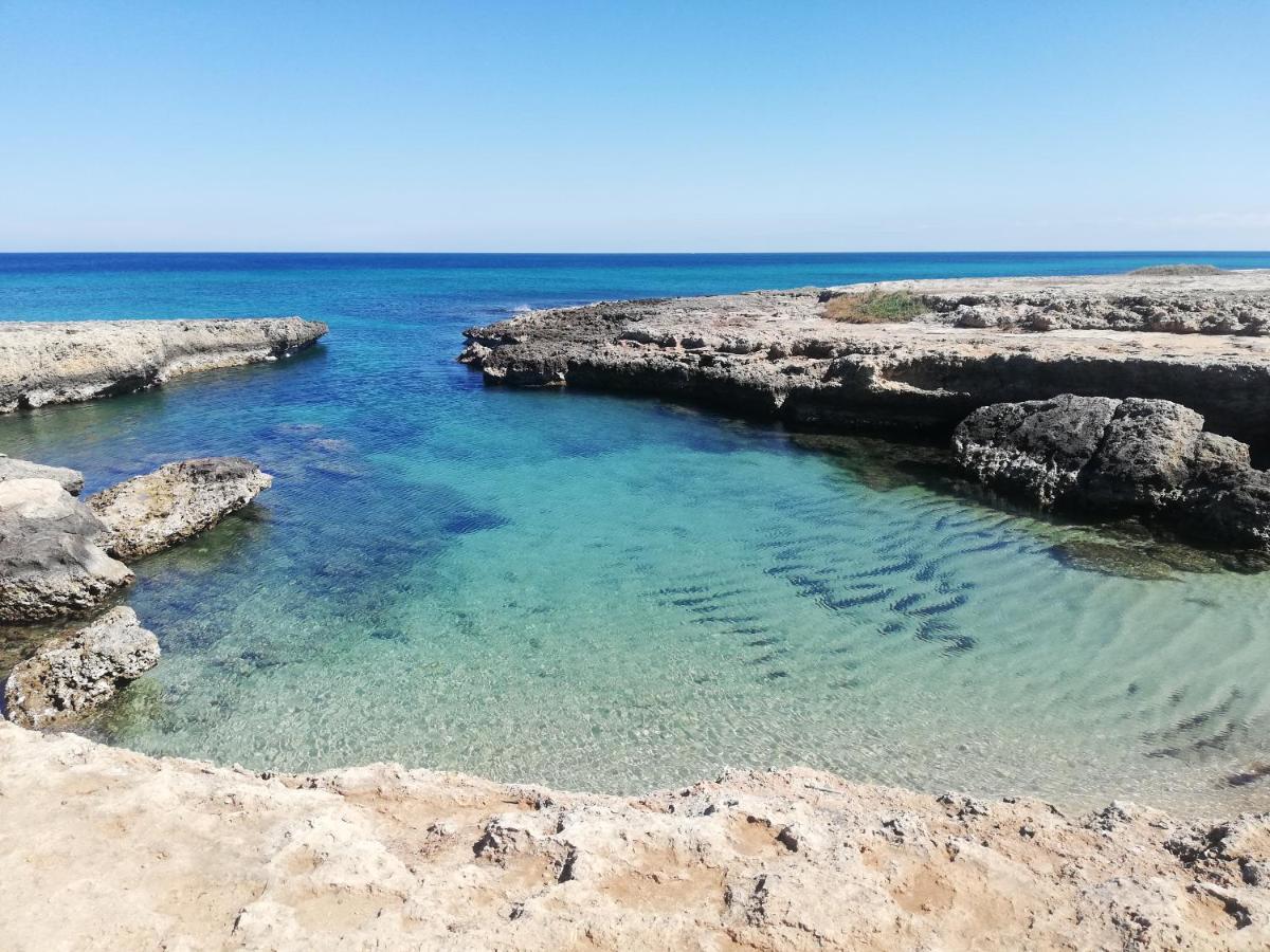 סן ויטו דיי נורמני Appartamento Fico Puglia מראה חיצוני תמונה